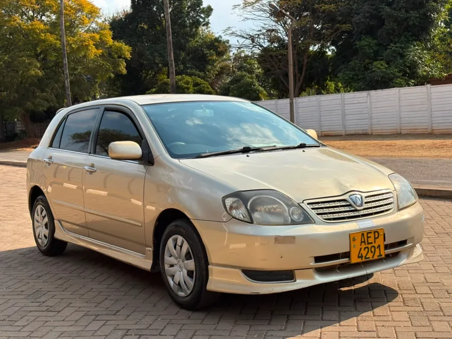Toyota Allex 2001