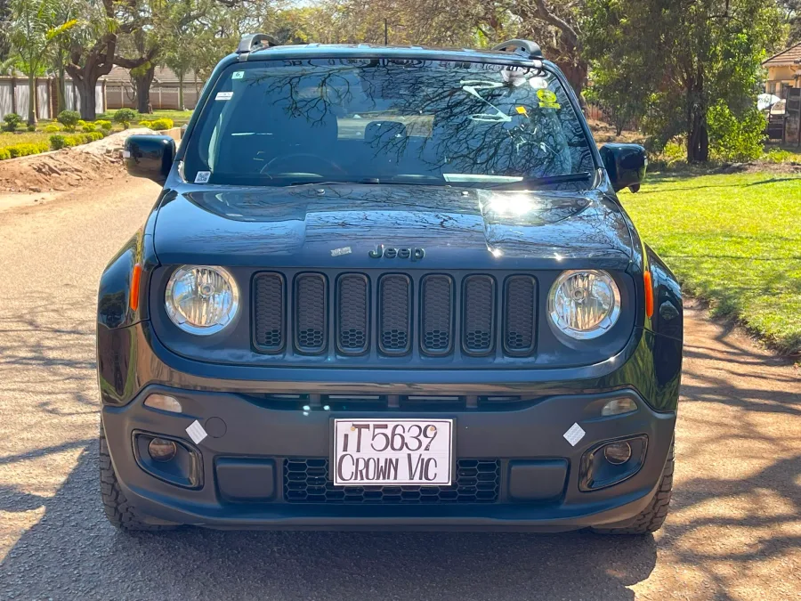Jeep Renegade (NightHawk) 2017