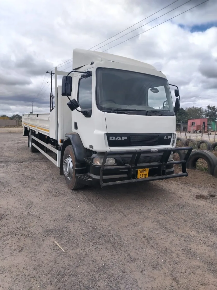 2010 DAF LF Cargo Truck, 100,000 km