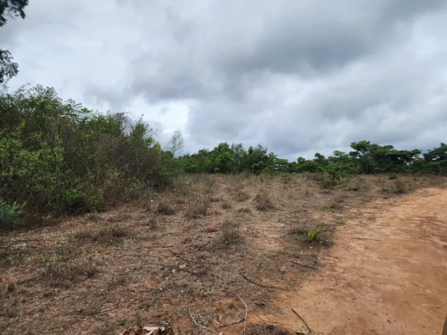 Odzani Farm, Mutare — 60 Hectare Mixed-Use Agricultural Estate