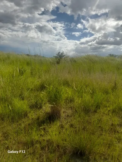 Knowe Stand, Norton – 5000 sqm Development Land