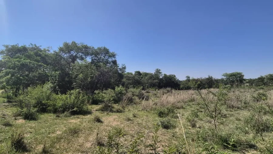 10-Hectare Investment Plot, Upfront, Ruwa
