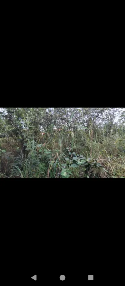 Waterfalls stands