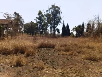 865-Hectare Irrigated Farm for Sale in Karoi
