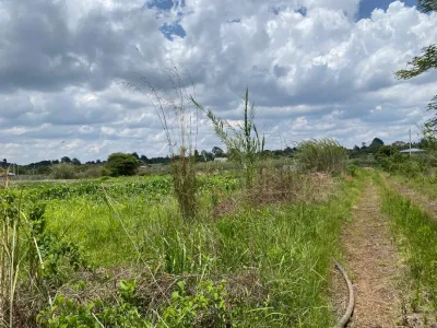 229ha Farm with Bankable Title Deed near Raffingora