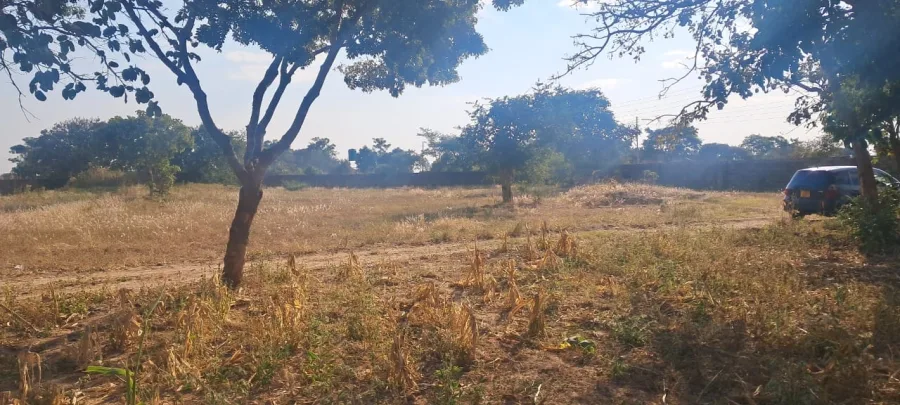 1,200 sqm Developer Cession Stand in Erasmus Park, Ruwa – USD 60,000
