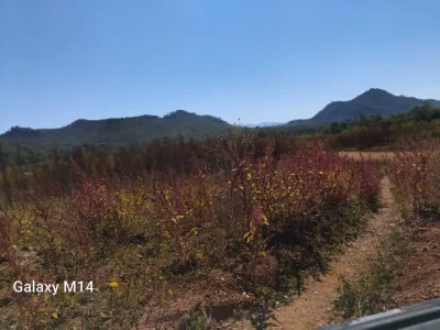 100 Hectares Near Norton, Mashonaland West – Full Title Deeds