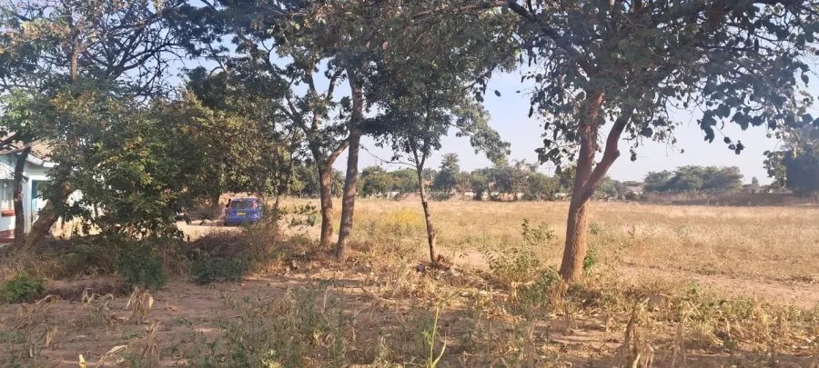 520sqm Council Cession Stand for Sale in Houghton Park