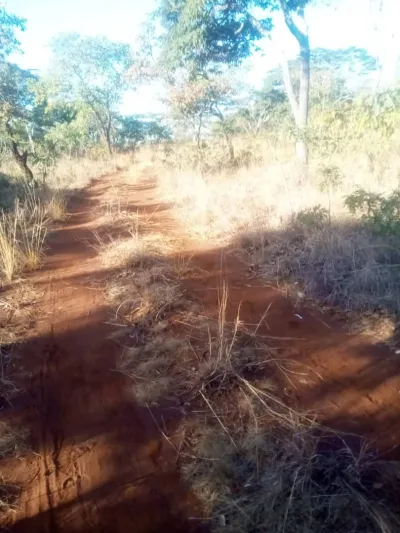 300sqm Residential Stand in Chinhoyi St Irves – Developer Cession