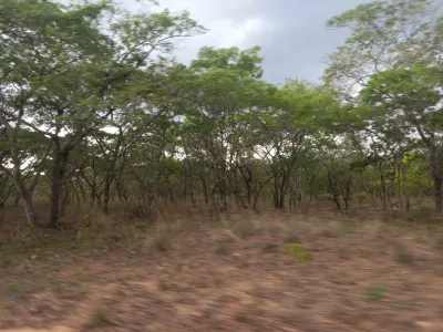 600m² Developer Cession Stand in Lake City, Lake Chivero