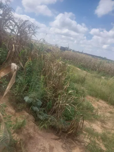 600m² Stand for Sale in Lake City, Lake Chivero