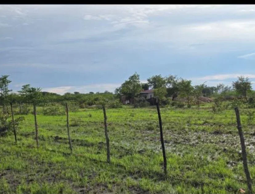 10,800 sqm Farm Stand, Cherrybank, Kadoma