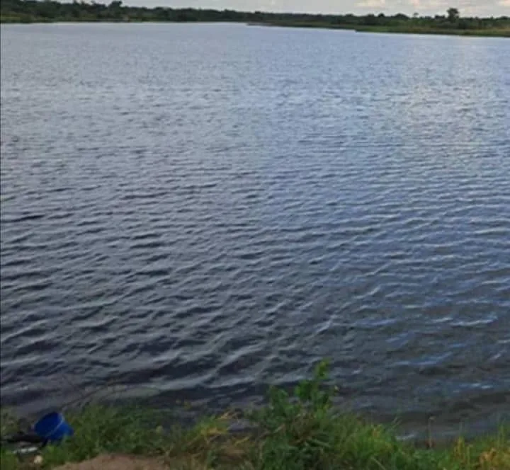 Farm 850 hectares in Mwenezi with dam and water access