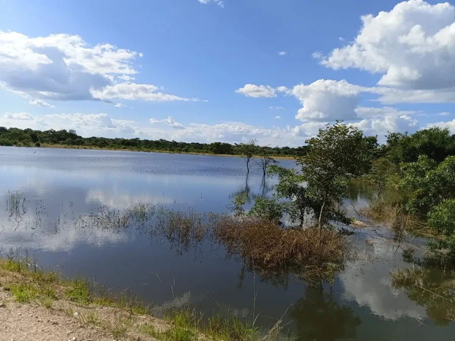 Beatrice Farm: 1,160 Hectares Arable Intensive Farmland, Mashonaland East