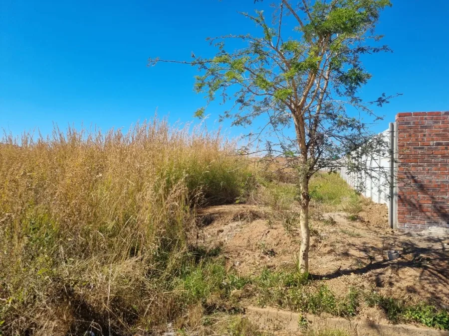 2063 sqm Stand, Manresa, Harare East – Ready to Build