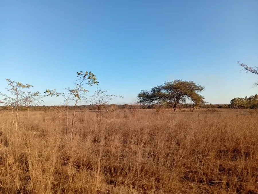 50 Hectare Agro-Residential Plot with Dam, Zvimba - USD 250,000