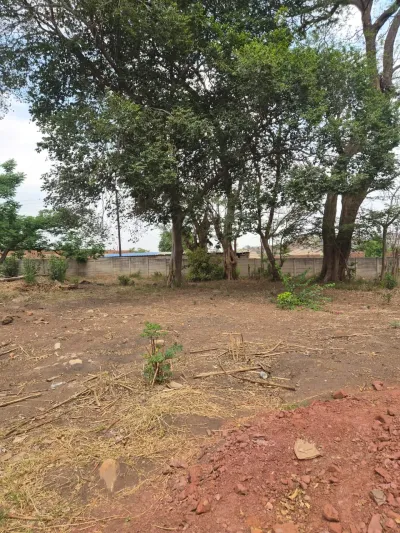 438 sqm Parkview Stand for Sale – Developer Cession, Harare West
