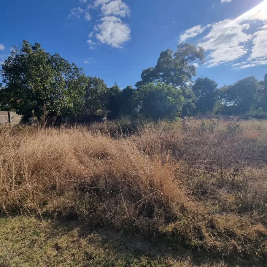 Prime 2,000m² Residential Stand, Marlborough – Gilchrist Road
