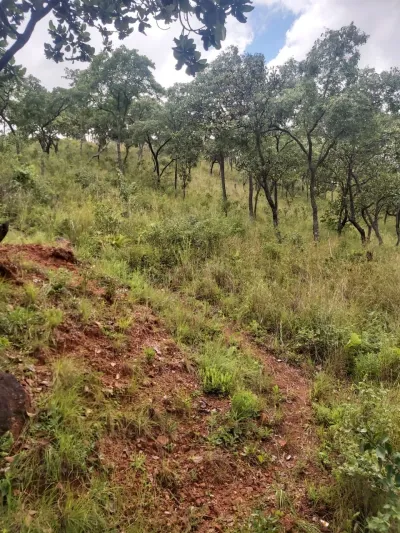 4.5-Hectare Prime Land in Carrick Creagh Estate, Borrowdale