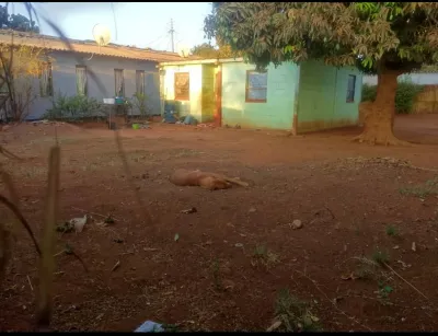 2-Bedroom House, Eiffel Flats, Kadoma