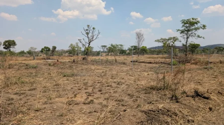 12,000 sqm Agro-Residential Plot Opposite Snake World, Snake Park