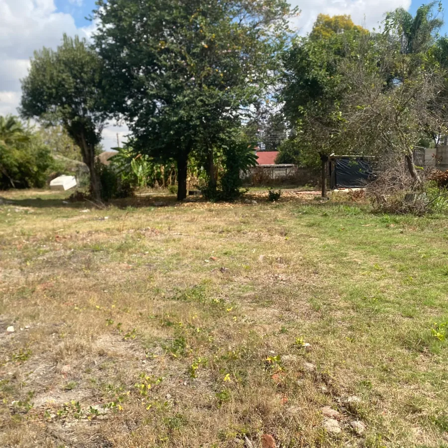Residential Stand with Commercial Hospital Rights, Avondale