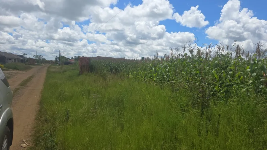 1000 sqm Stand in Sandton Park, Harare West
