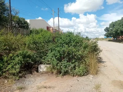 10,000 sqm Stand in Msasa, Harare East – Prime Development Opportunity
