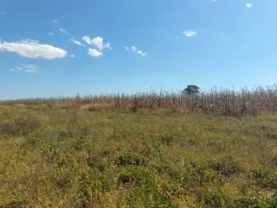 6-Hectare Agricultural Plot, Mazowe Glendale