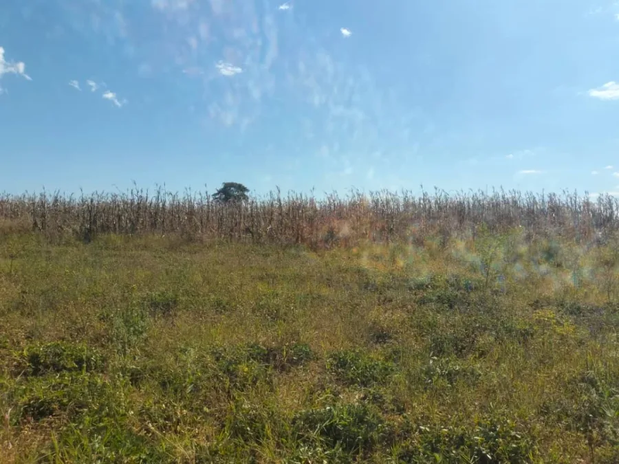 19 Hectares Arable Farm Land, Aerodrome, Bindura