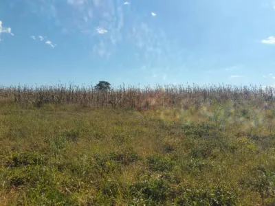 19 Hectares Arable Farm Land, Aerodrome, Bindura
