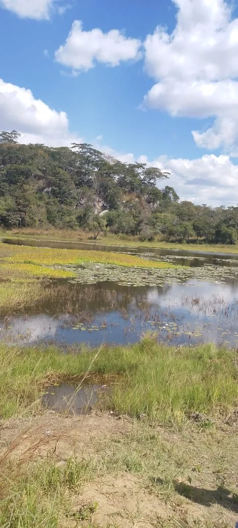 116 Hectare Farm, Centenary - Prime Agricultural Land