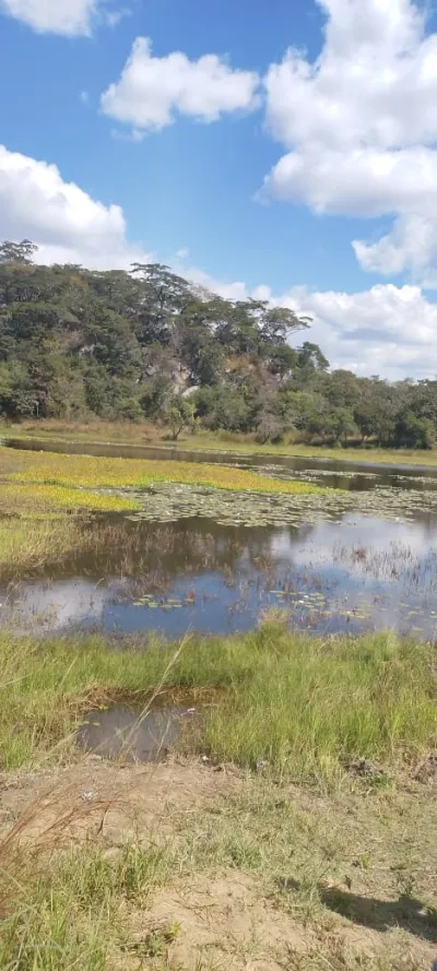 116 Hectare Farm, Centenary - Prime Agricultural Land