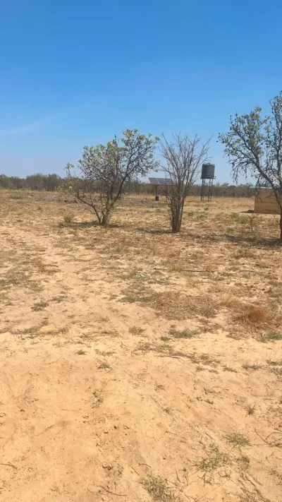 13.2 Hectare Arable Stand in Beatrice Centre, Beatrice